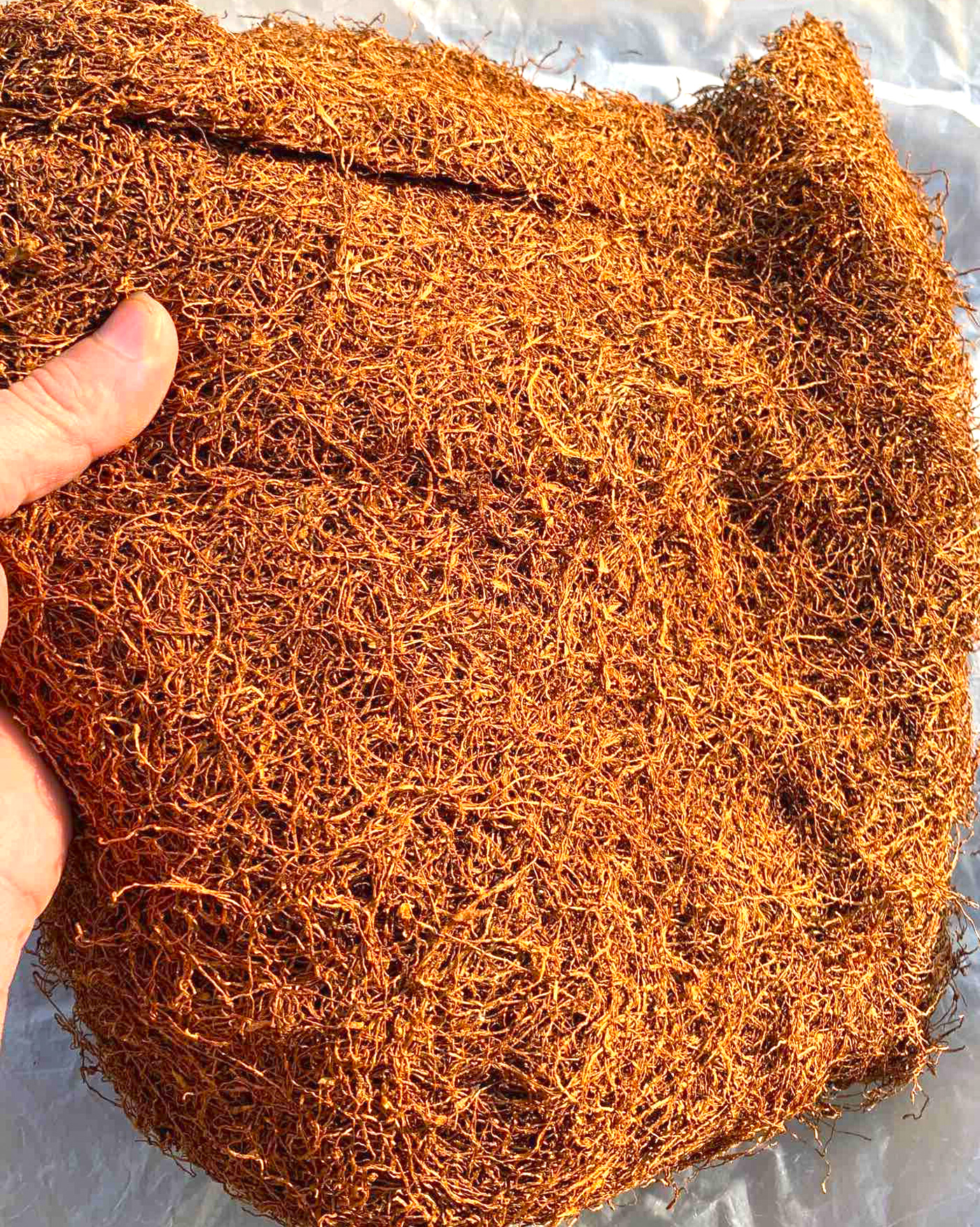 Thuốc lào Tiên Lãng Hải Phòng có gì đặc biệt