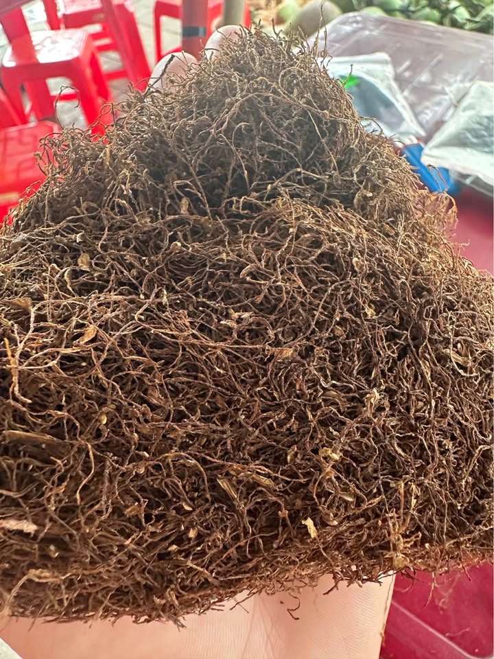 Hoàn thiện quy trình làm thuốc lào Tiên Lãng cho sợi nâu sẫm dẻo thơm