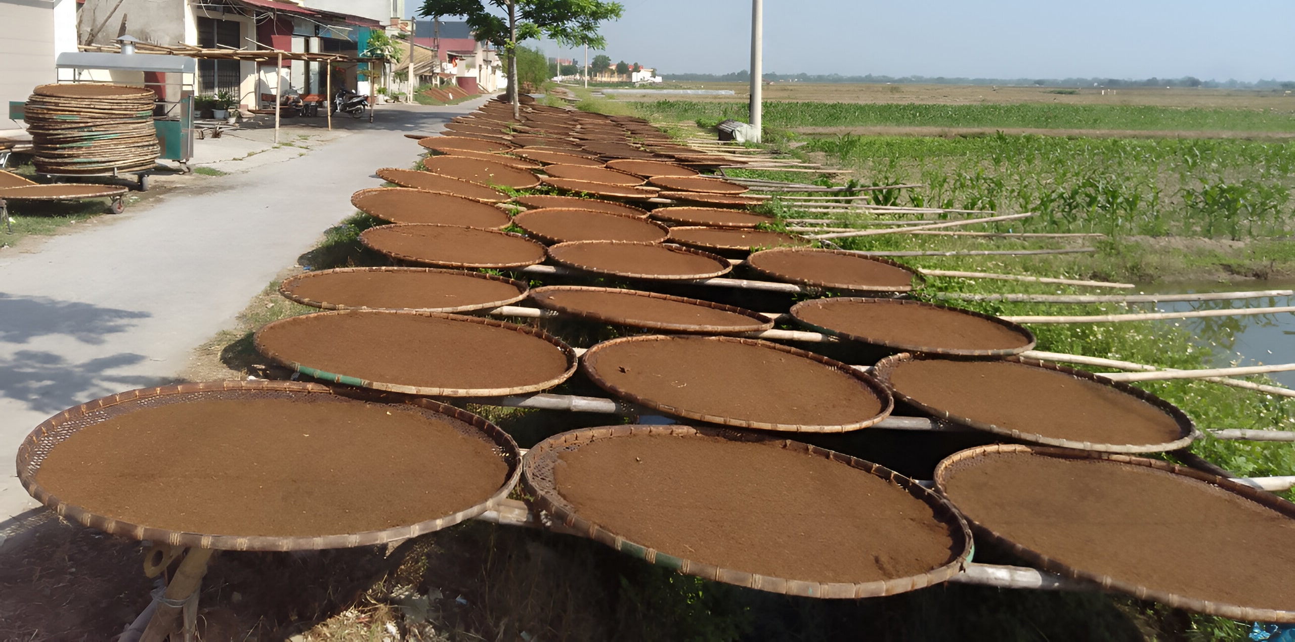 Thuốc lào Tiên Lãng Hải Phòng