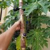 Điếu Cày Quế Yên Bái Nguyên Vỏ Bọc Đồng Thơm Tự Nhiên Chính Hãng